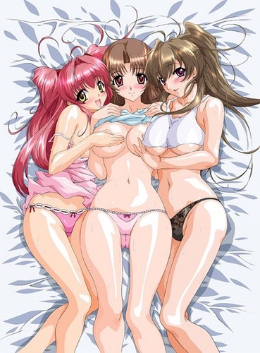 Jugo de hermanas: Recolectando de las tres hermanas Shirakawa