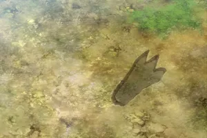 Episodio 3