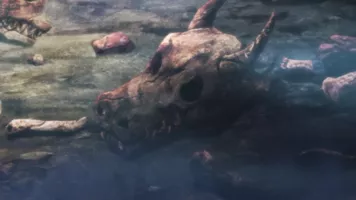 Episodio 10