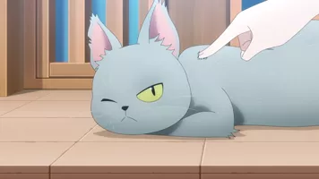 Episodio 6